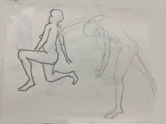 Model (12)